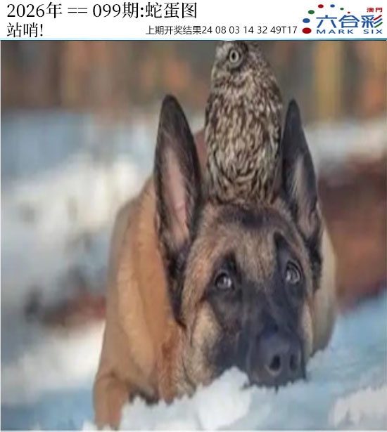 099期正版蛇蛋图[图]