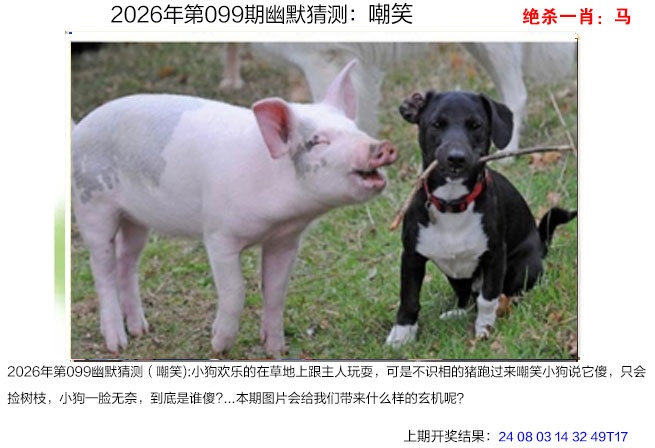 099期幽默猜测[图]